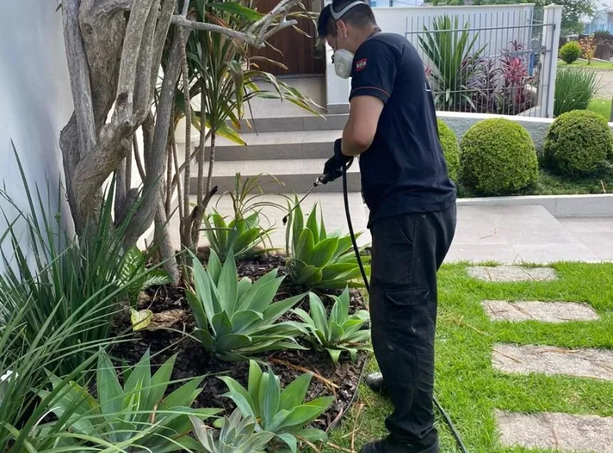 Técnico Cupinsect em inspeção de telhado para morcegos